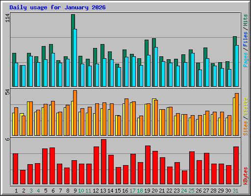 Daily usage for January 2026