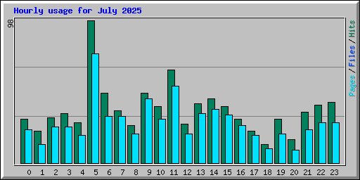 Hourly usage for July 2025