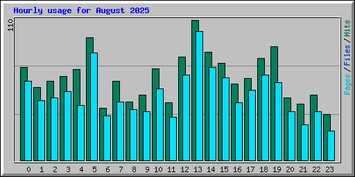 Hourly usage for August 2025