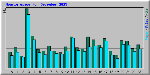 Hourly usage for December 2025