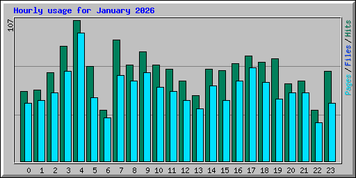 Hourly usage for January 2026