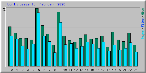 Hourly usage for February 2026