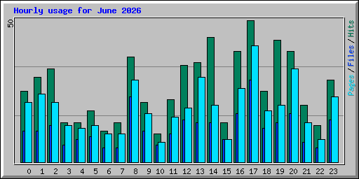 Hourly usage for June 2026